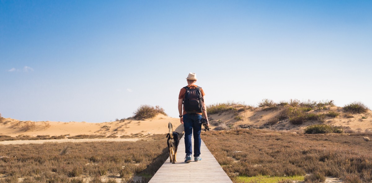 man with dog walking on the wooden