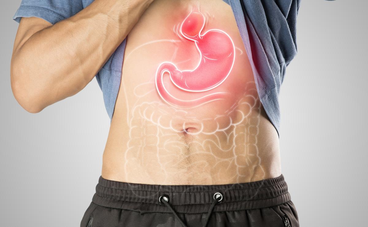 A person lifts their shirt to reveal a digital illustration of the stomach and intestines superimposed on their abdomen.